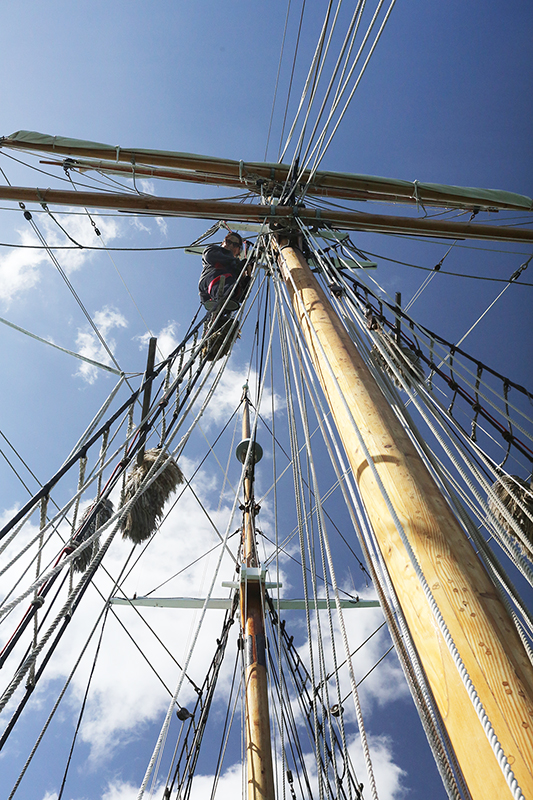 Sail on the R Tucker Thompson, Bay of Islands, NZ